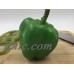 Fake Plastic GREEN BELL PEPPER Faux Vegetable Display Decor Prop Food Replica   263869466359